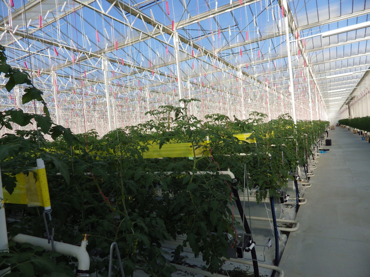 agri02