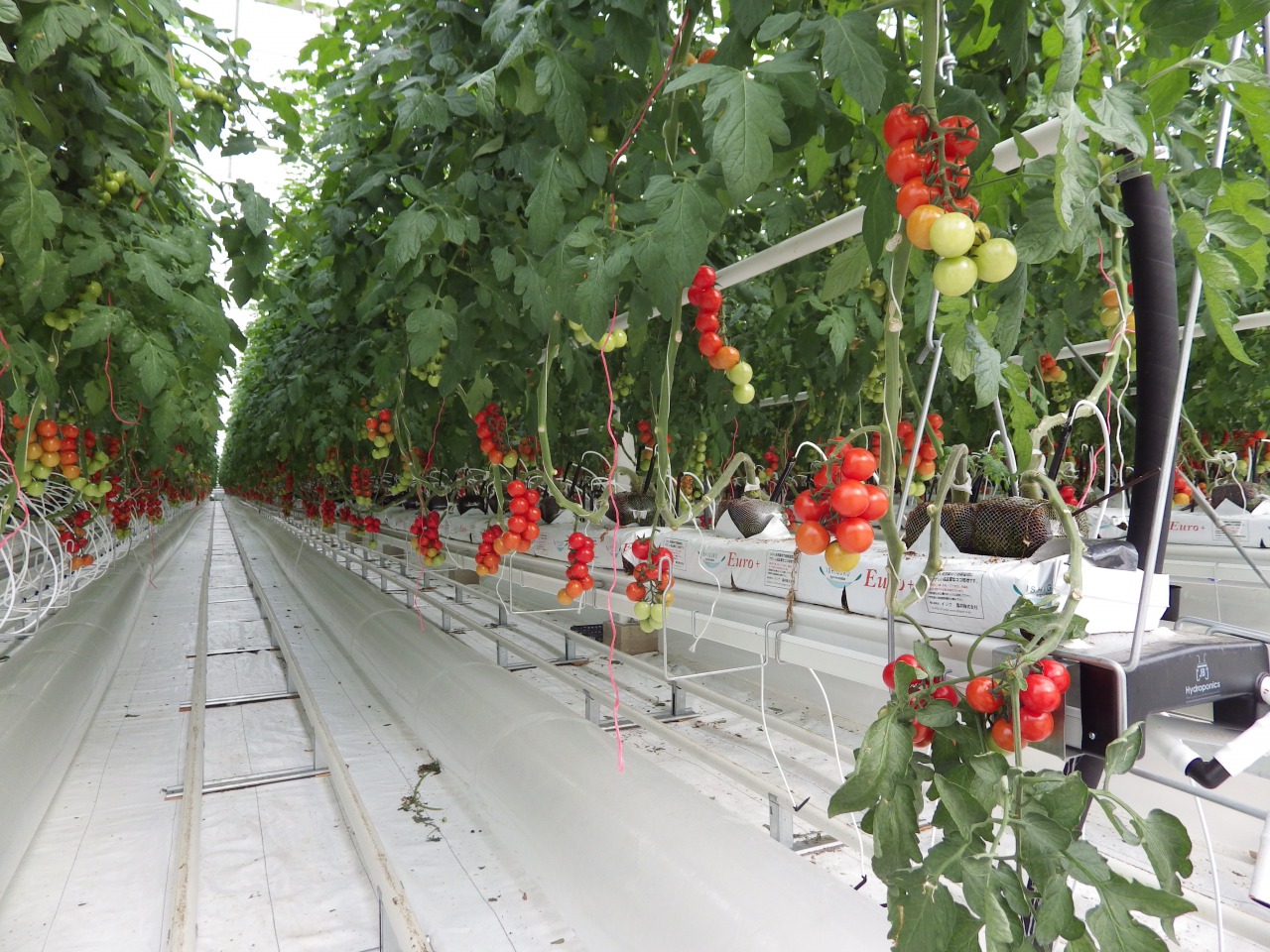 agri03